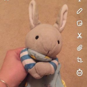 Good Night Moon bunny.